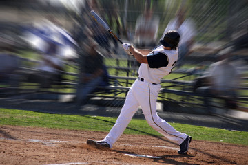 Baseball Action