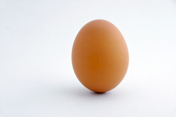A real brown standing egg with white background.