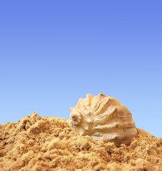 Vacations background