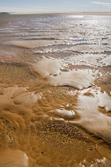 beach shoreline