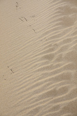 beach sand