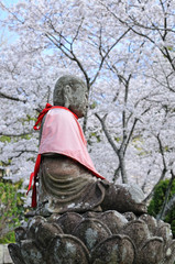 桜と地蔵菩薩