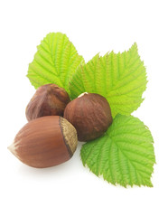 Hazelnuts