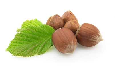 Hazelnuts