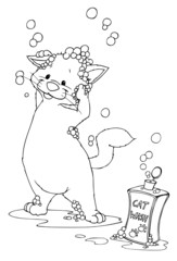 Katze, Kater, waschen, Hygiene, Duschen, Seife