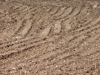 Terre labourée