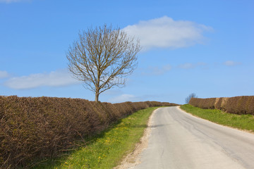 Fototapeta na wymiar english country road