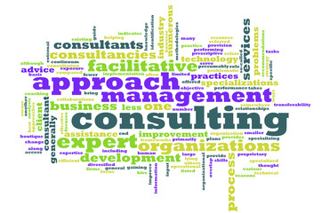 Management Consulting