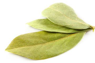 Lorbeerblätter