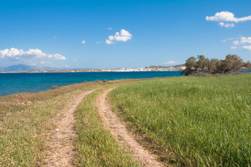 Track in Paros island, near Naoussa