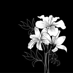Fond noir et blanc avec des fleurs blanches