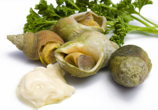 Bulots &agrave; la mayonnaise