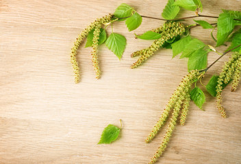 Naklejka premium Spring Birch over wooden background