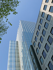 Obraz premium Hochhaus in Frankfurt