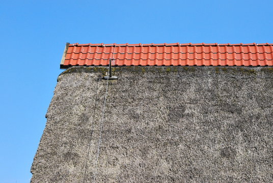 Reetdach