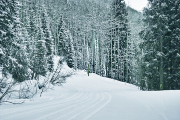 snowy path 3 of 9