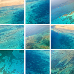 Collage of beautiful images of the Red Sea