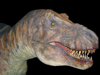 T-rex isolated head - obrazy, fototapety, plakaty