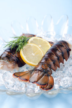 Raw Lobster Tails