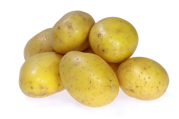 Kartoffel - potato 12