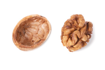 Walnut and shell