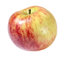 Apfel