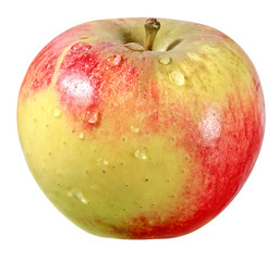 Apfel