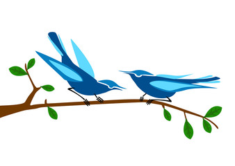 blue birds