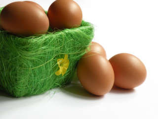 eggs in basket