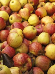 deutsche Äpfel