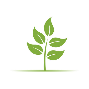 Nature concept