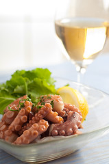 octopus and salad with white wine