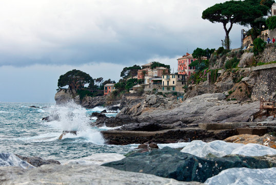 Recco Bilder Durchsuchen 584 Archivfotos, und Videos