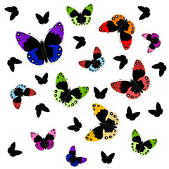 Obraz premium butterflies