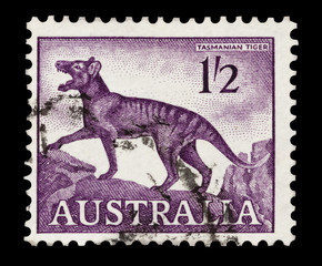 australian mail stamp featuring an extinct tasmanian tiger