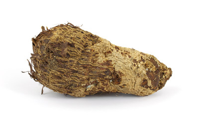 Malanga root