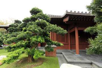 chinese garden.