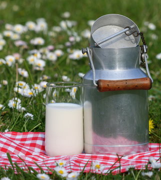 lait,verre,vache,p&ocirc;t,laitage,laitier