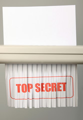 Top Secret Shredded