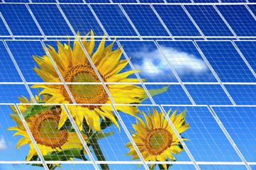Solarzellen 17
