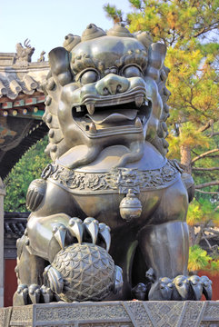 China, Beijing Summer Palace bronze lion.