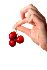 Woman Holding Cherries. Model Released