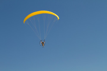 Paraglider