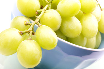 Bowl of Grapes