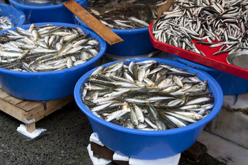 PESCADO FRESCO