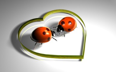 Marienkäfer - Herz