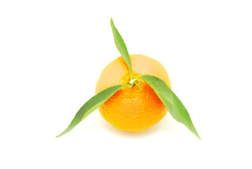 tangerine