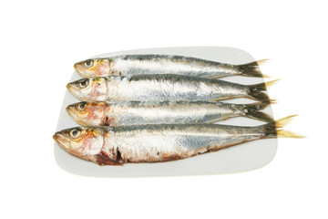 Sardines on a plate