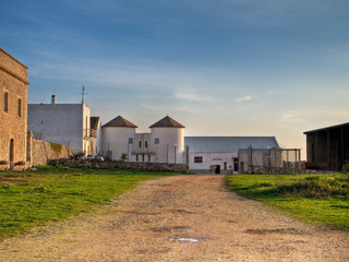 Threshing-floor at sunset.