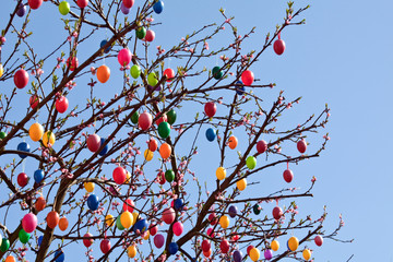 bunte Ostereier am Baum